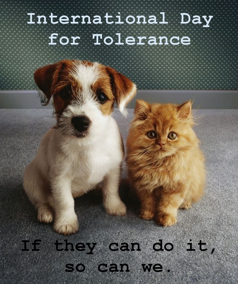 Tolerance
