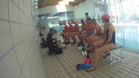 BUCEO